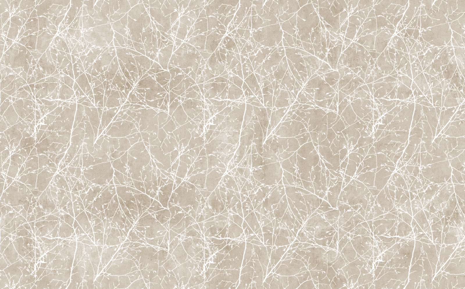 01_NAT0316 - Image 2