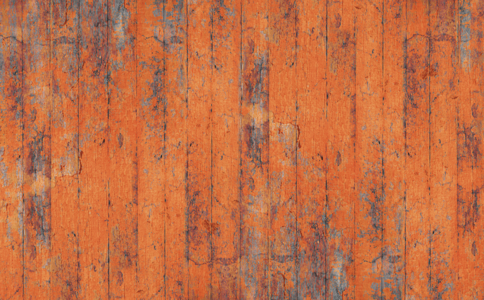 WOO0227 - Image 5