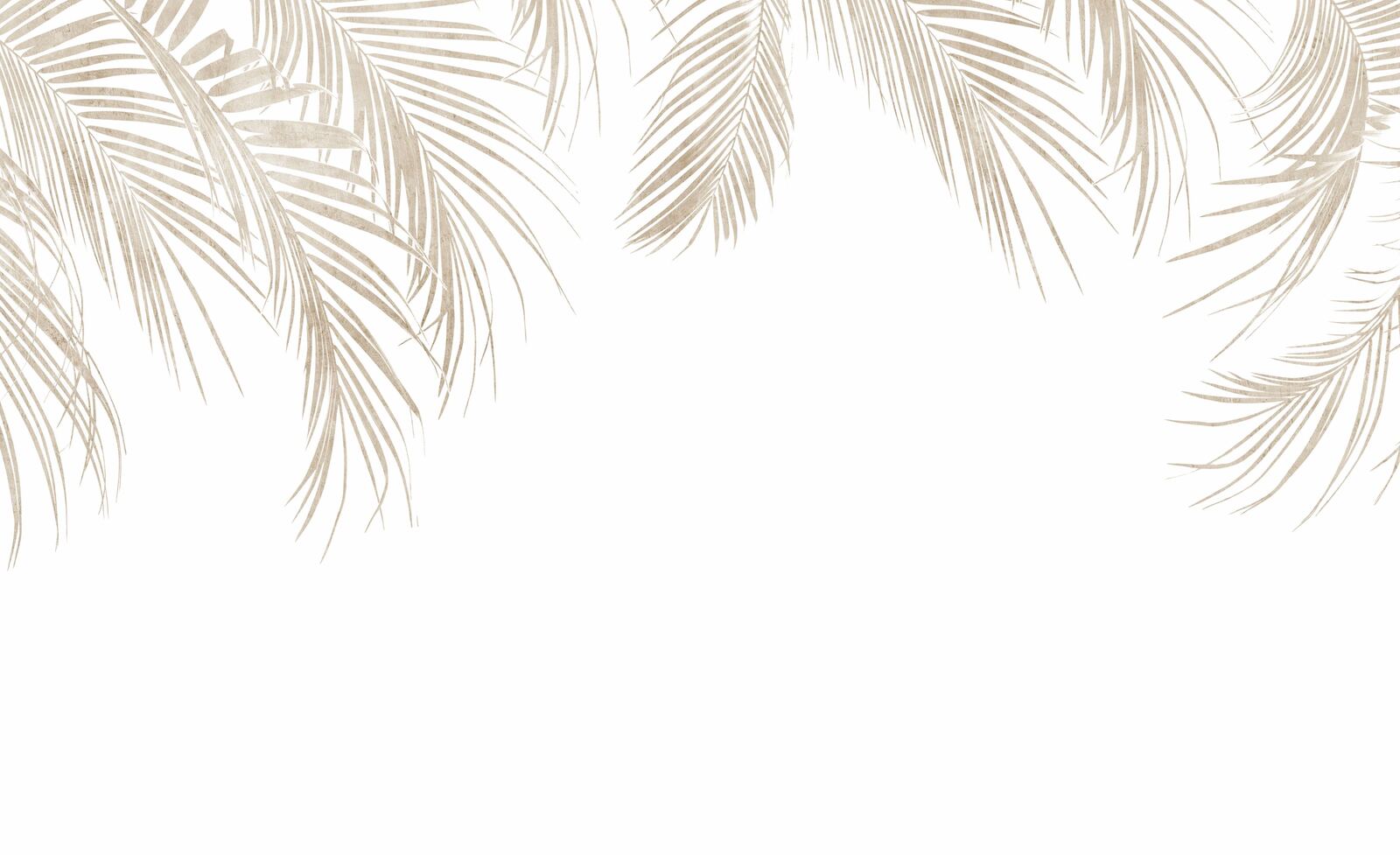 03_NAT0421 - Image 2