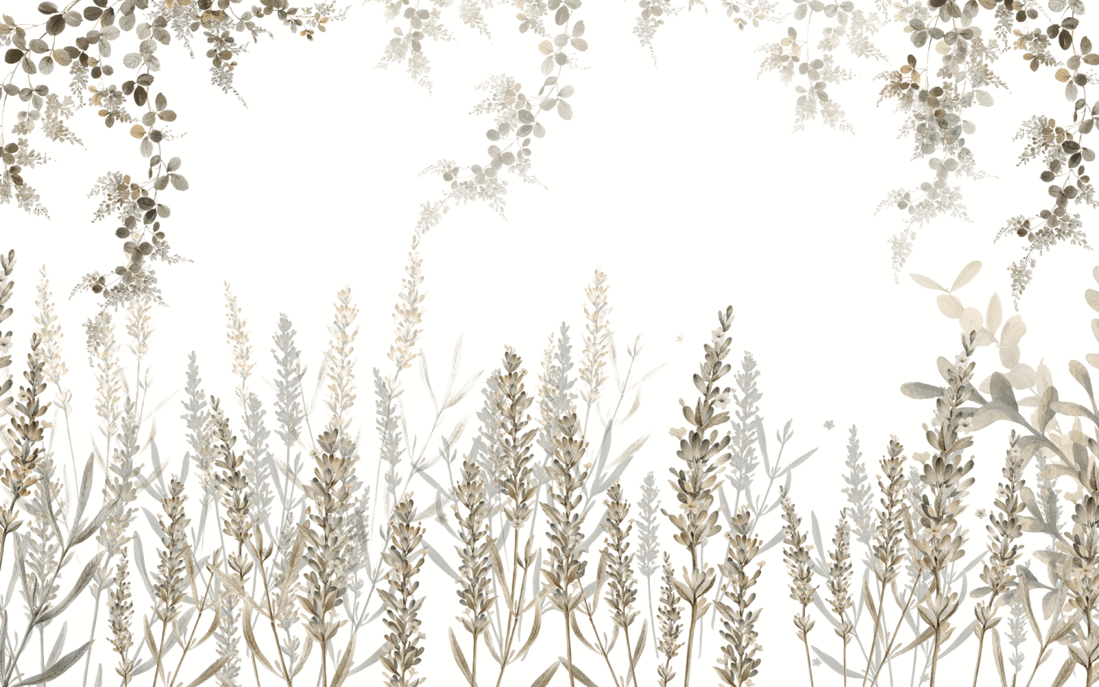 01_BOG0203 - Image 2