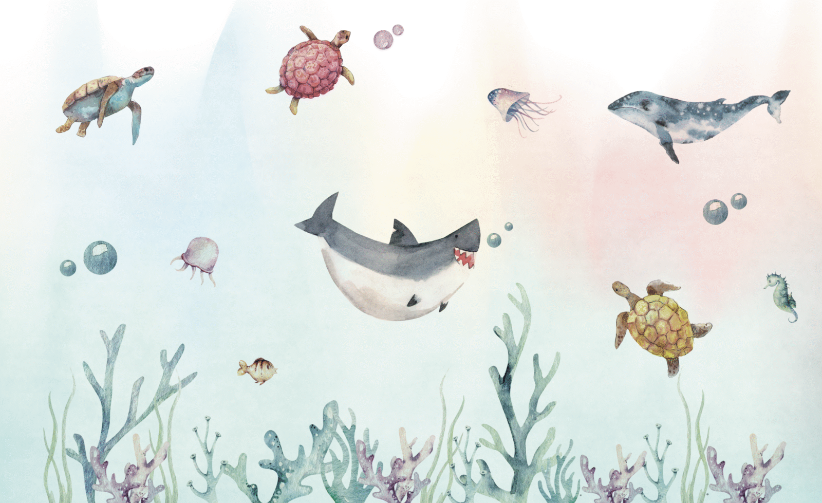 05_B&G0326 - Image 2