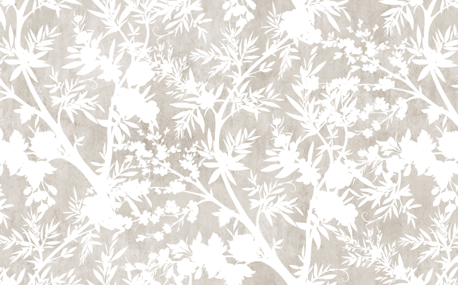 02_NAT0536 - Image 2