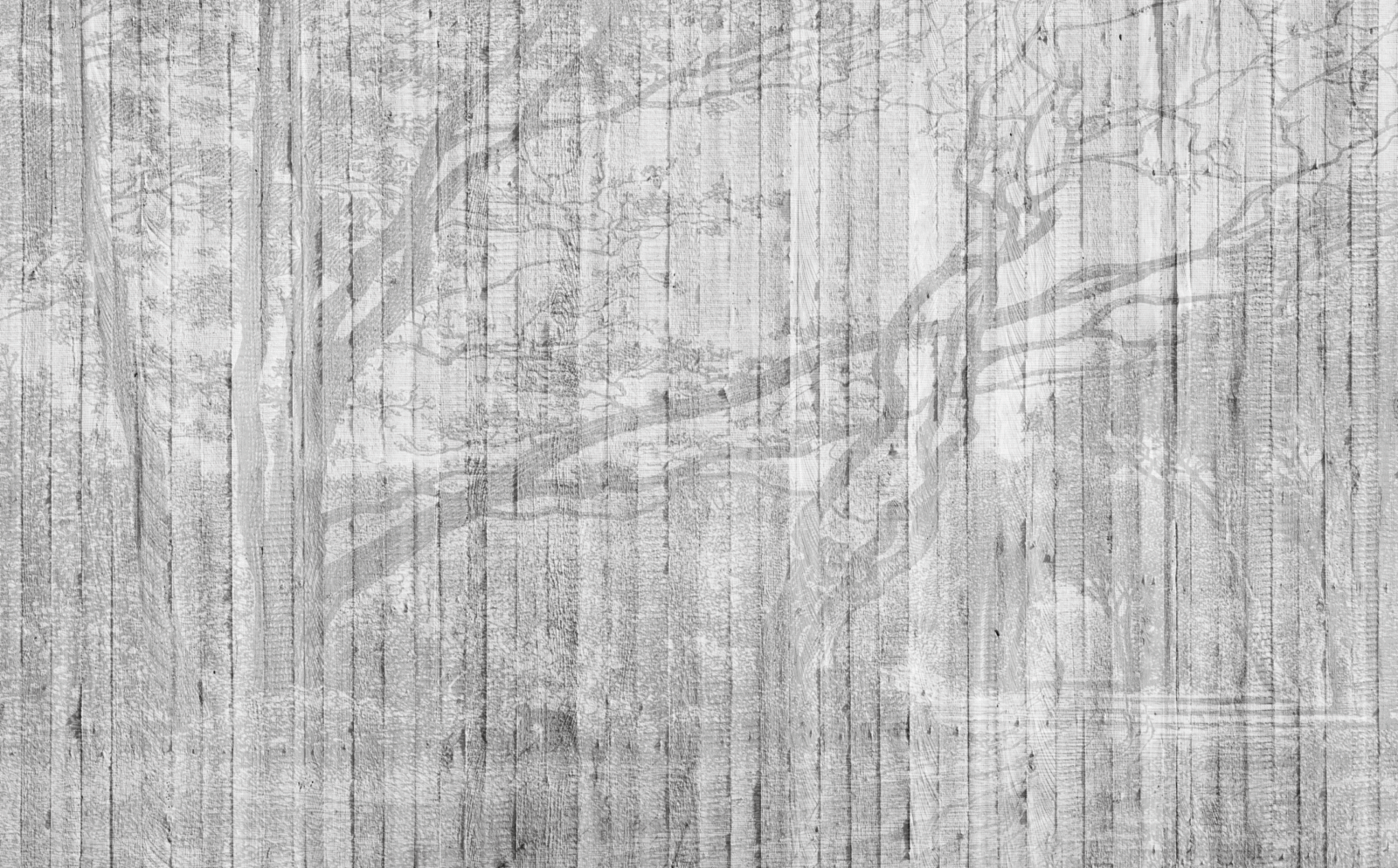 02_TEB0202 - Image 2