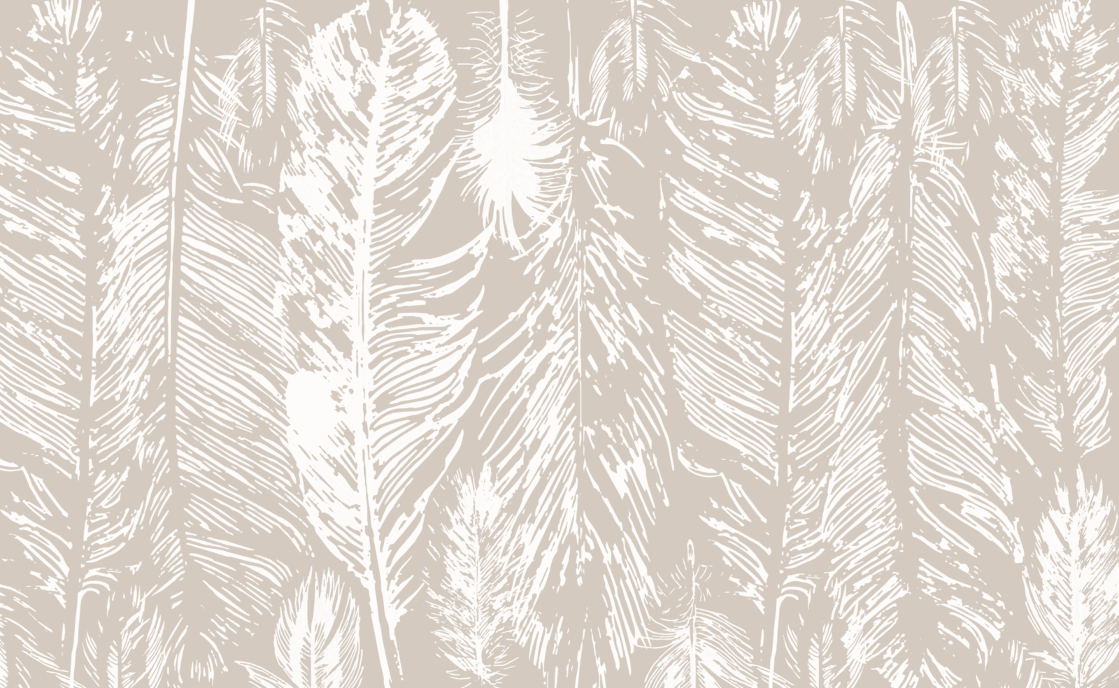 04_NAT0526 - Image 2