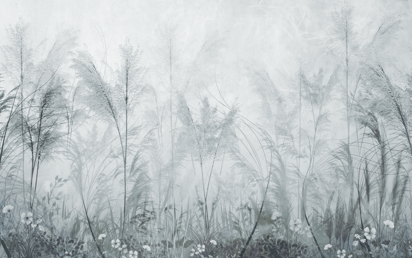 05_NAT0802 - Image 2