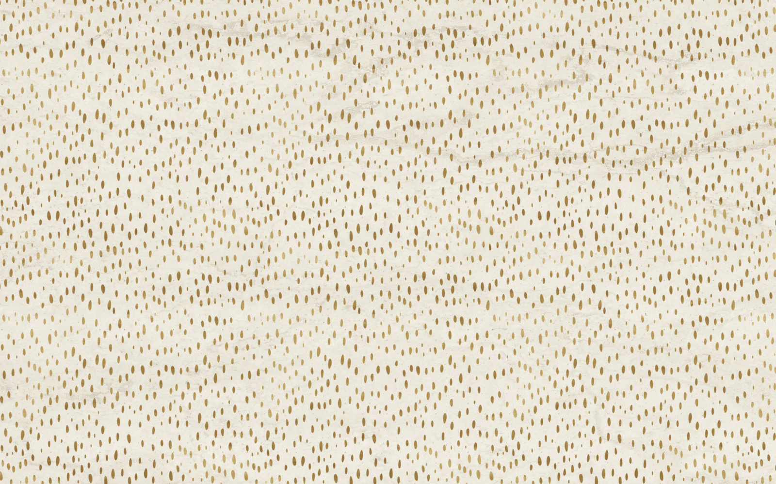 01_AFR0104 - Image 2