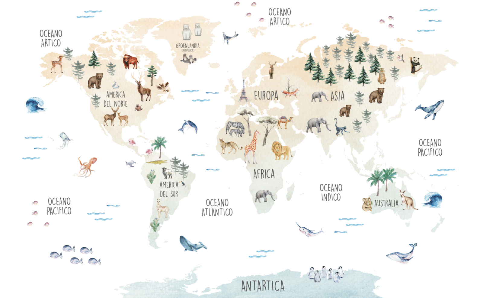 02_MAP0506 - Image 2