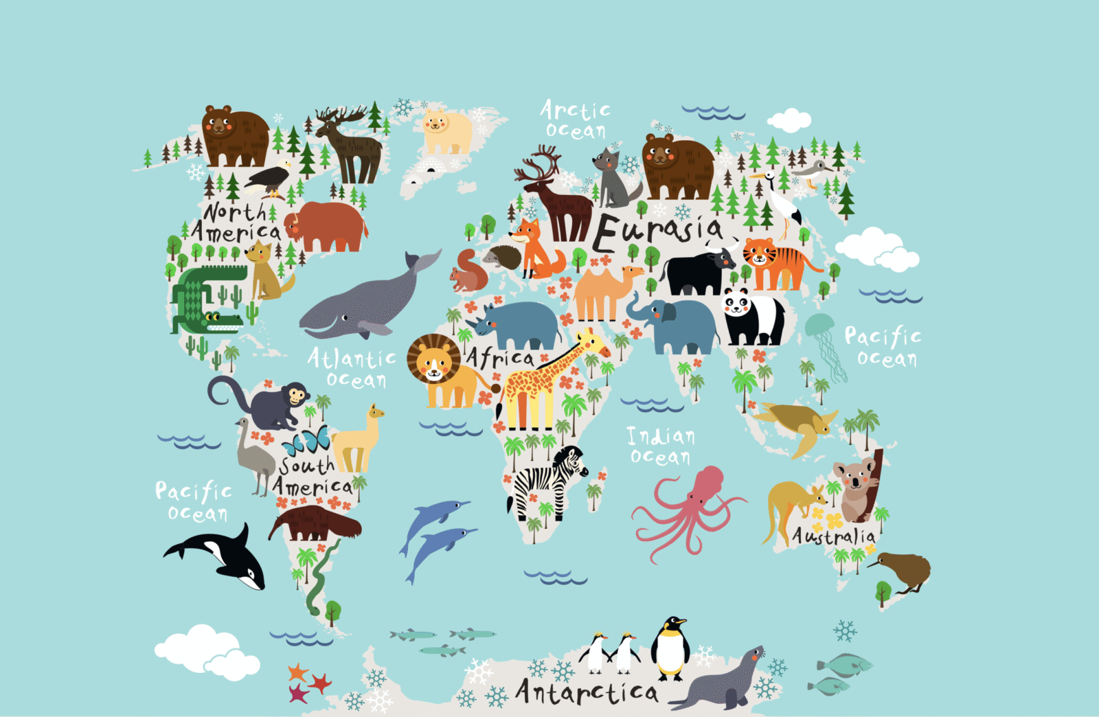 02_MAP0204 - Image 2