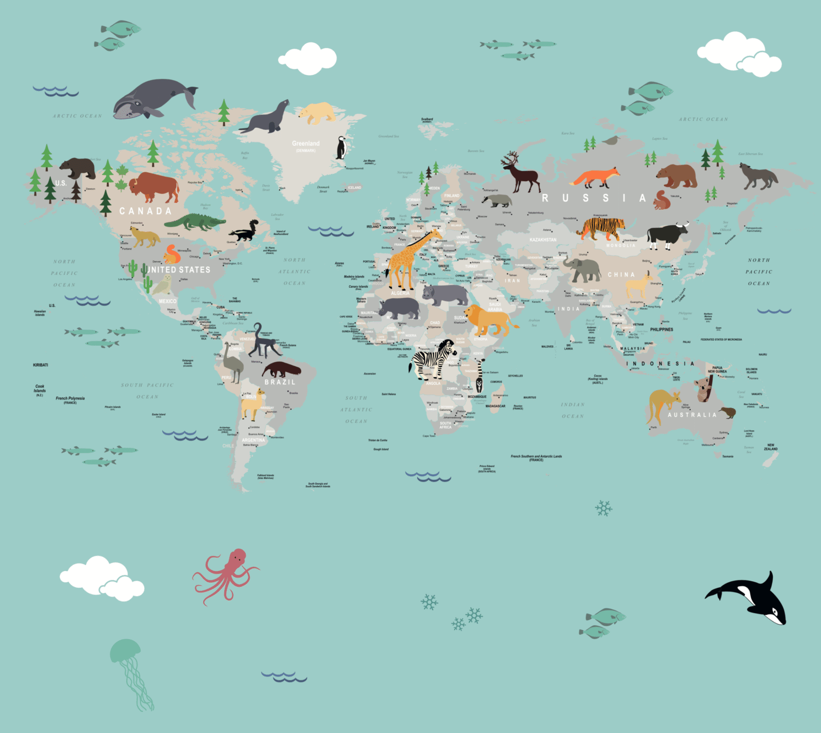 06_MAP0205 - Image 3