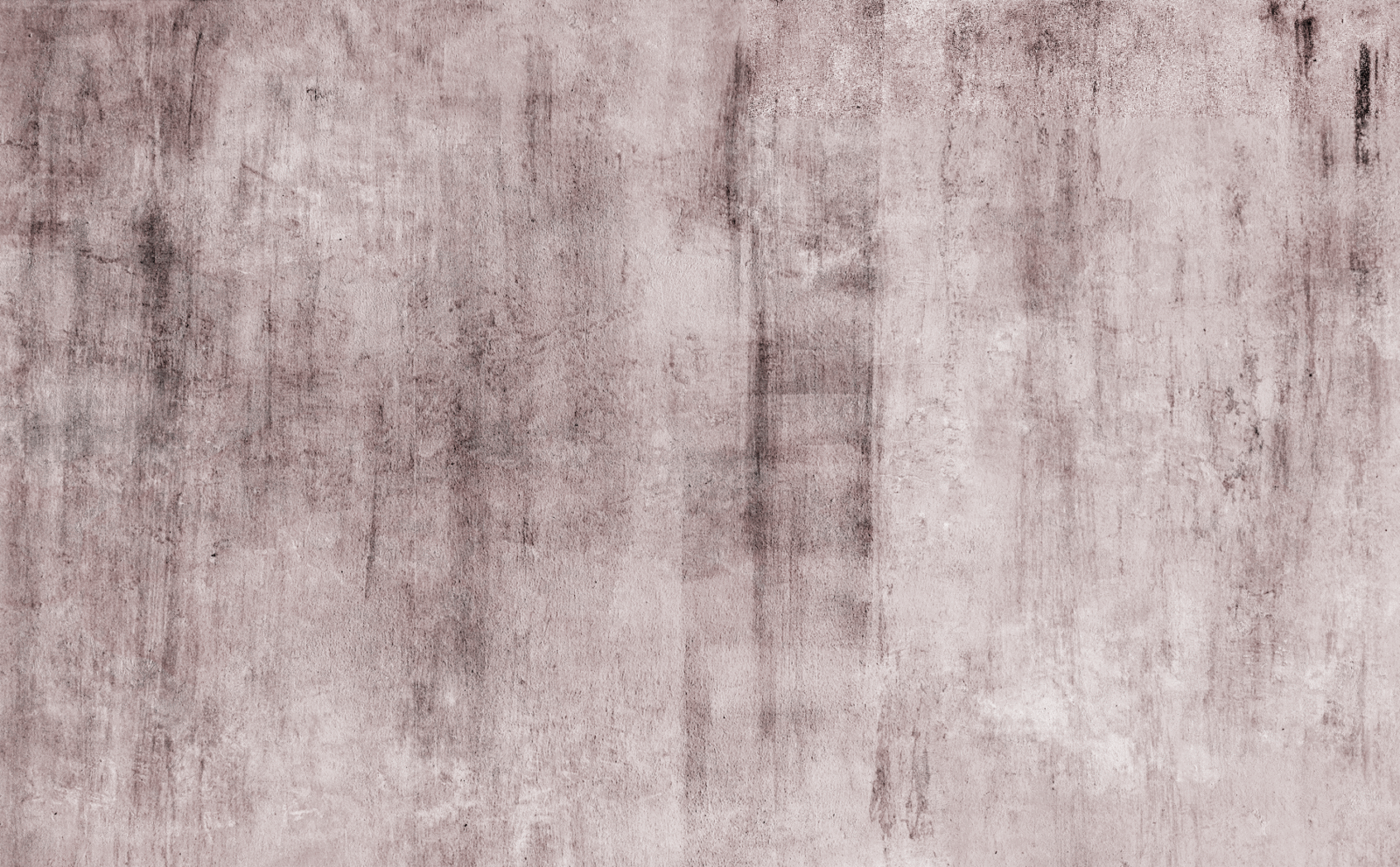 TEX0307 - Image 2