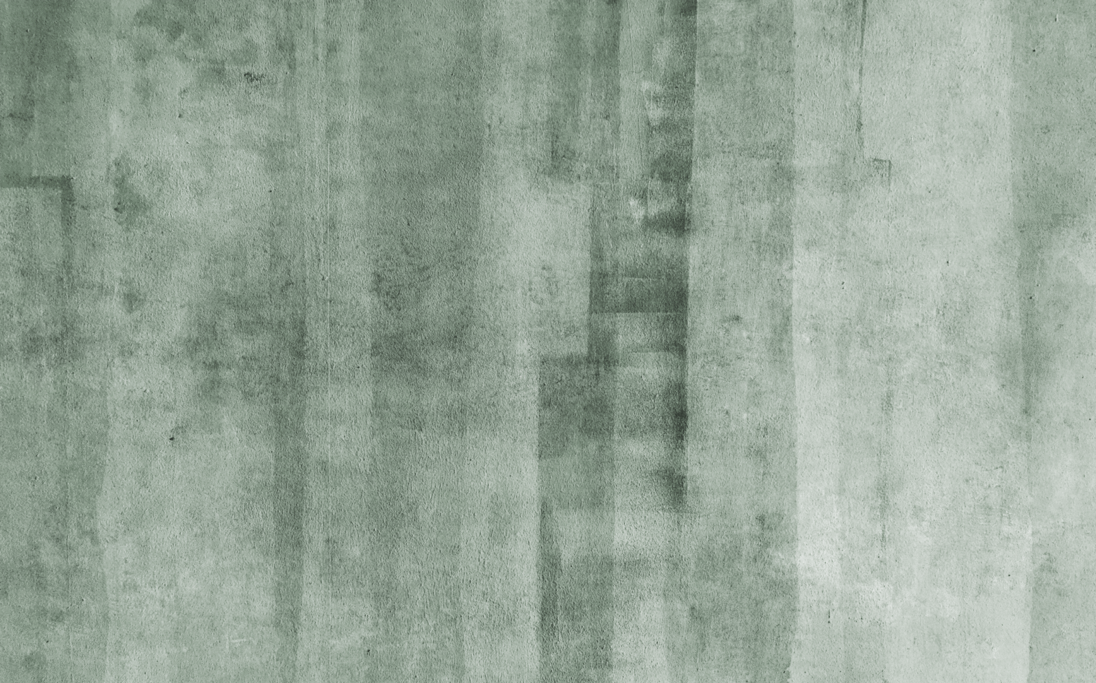 TEX0318 - Image 2