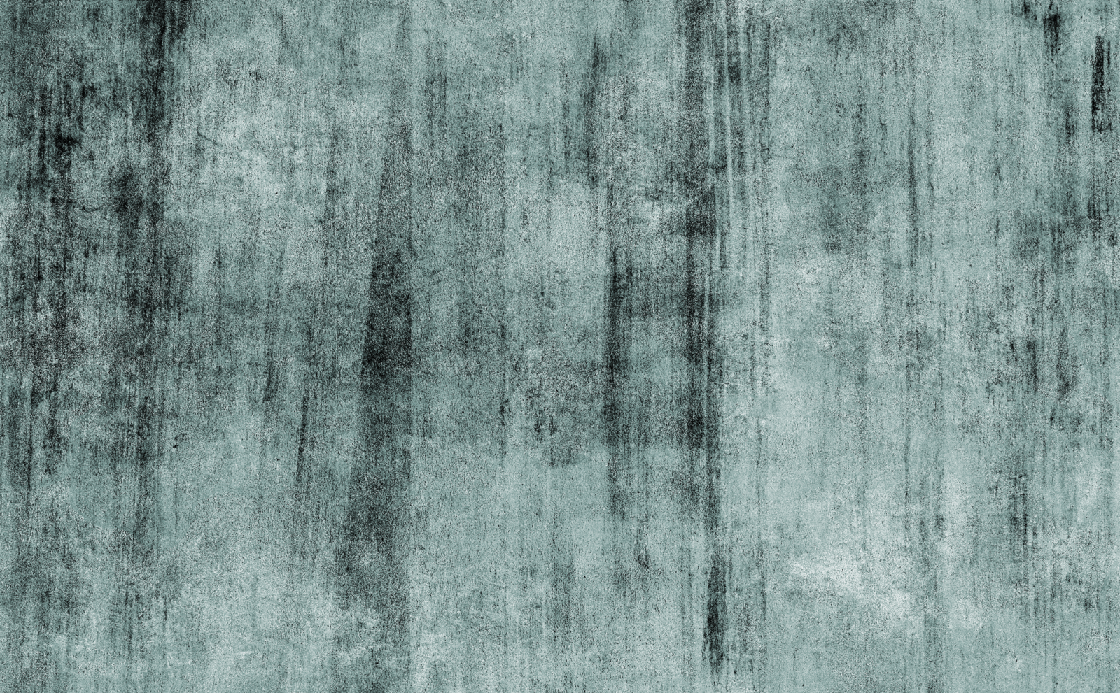 TEX0310 - Image 2