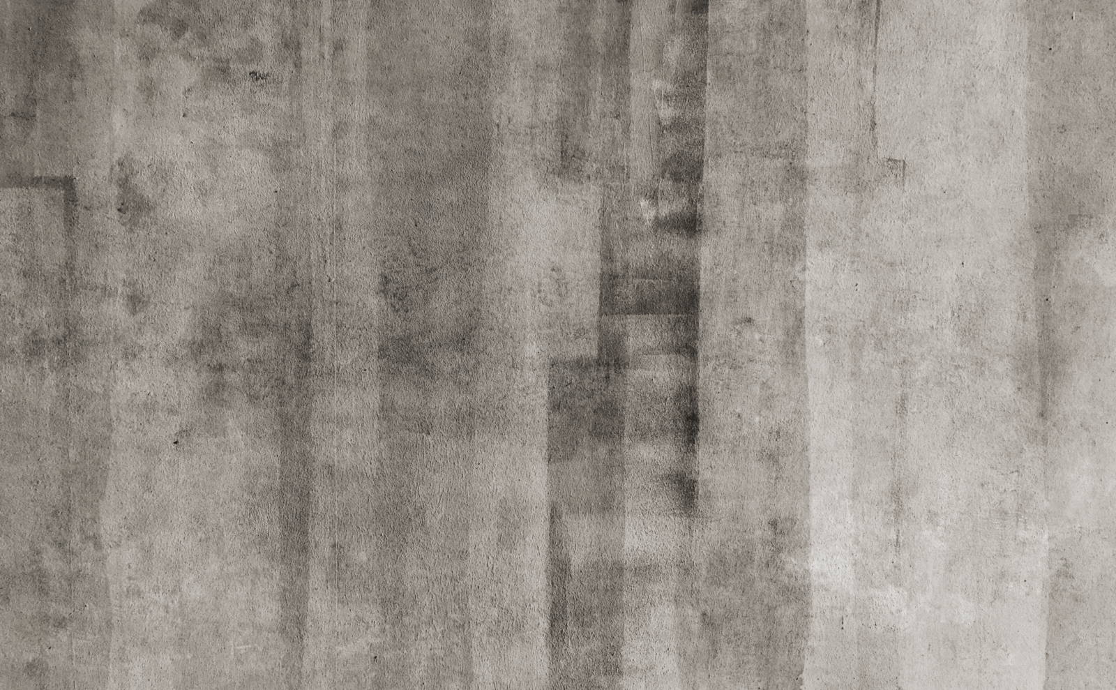 TEX0312 - Image 2
