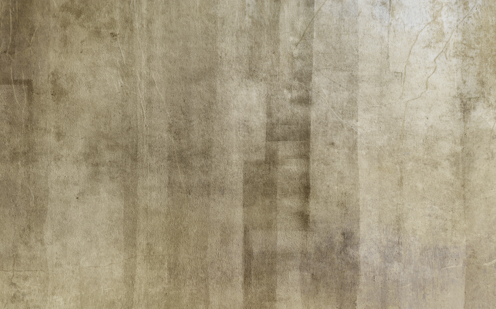 TEX0314 - Image 2