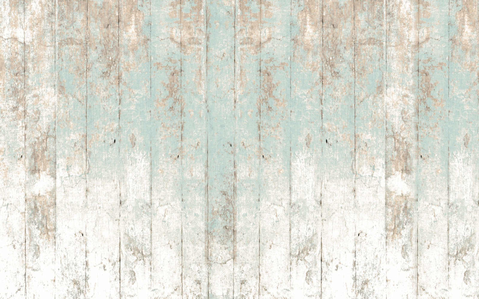 0_WOO0118 - Image 3