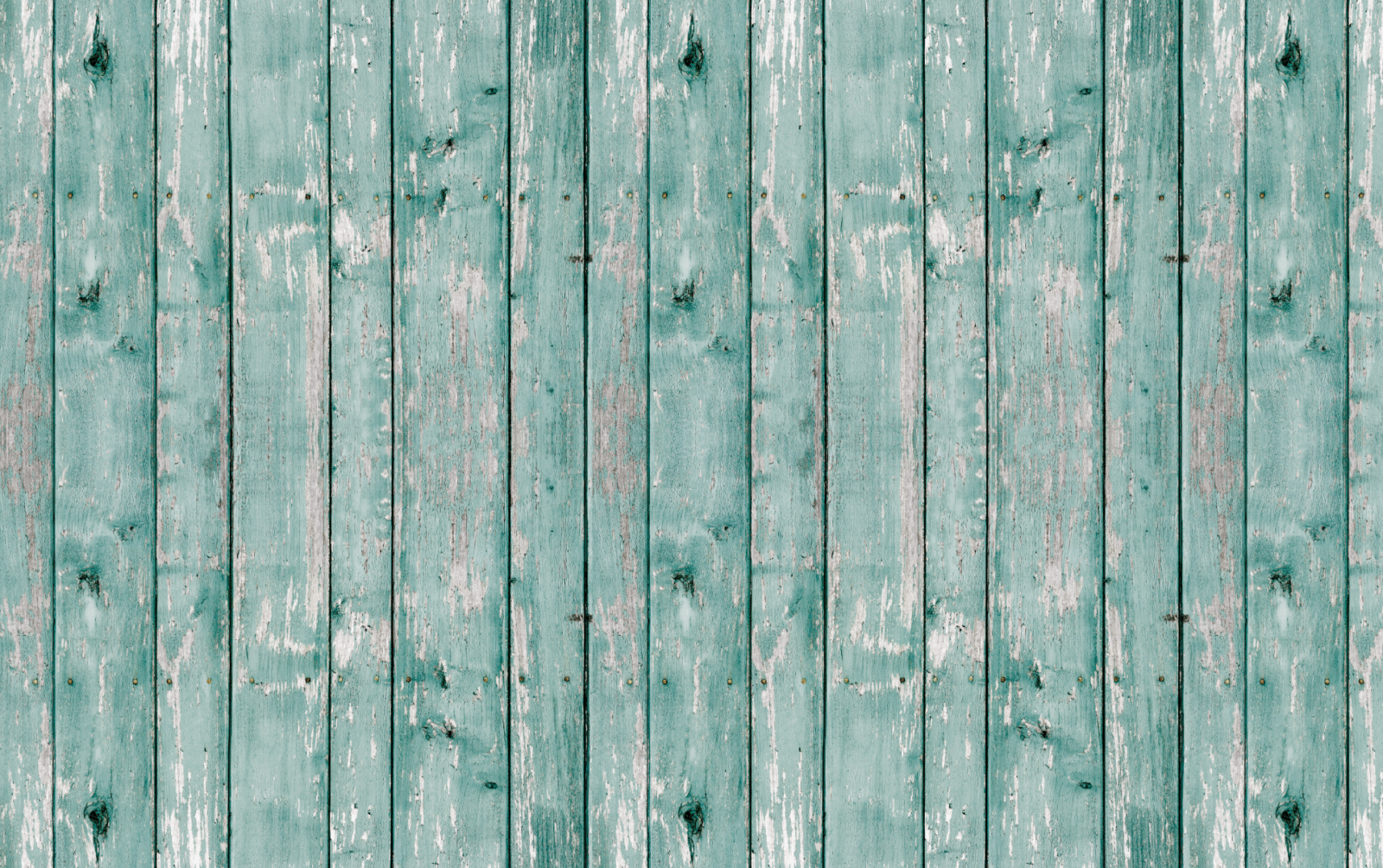 03_WOO0131 - Image 4