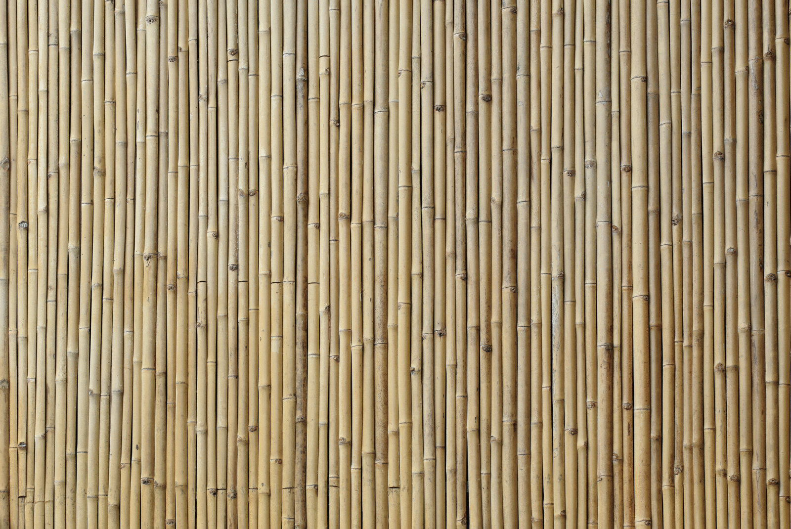WOO0111 - Image 3