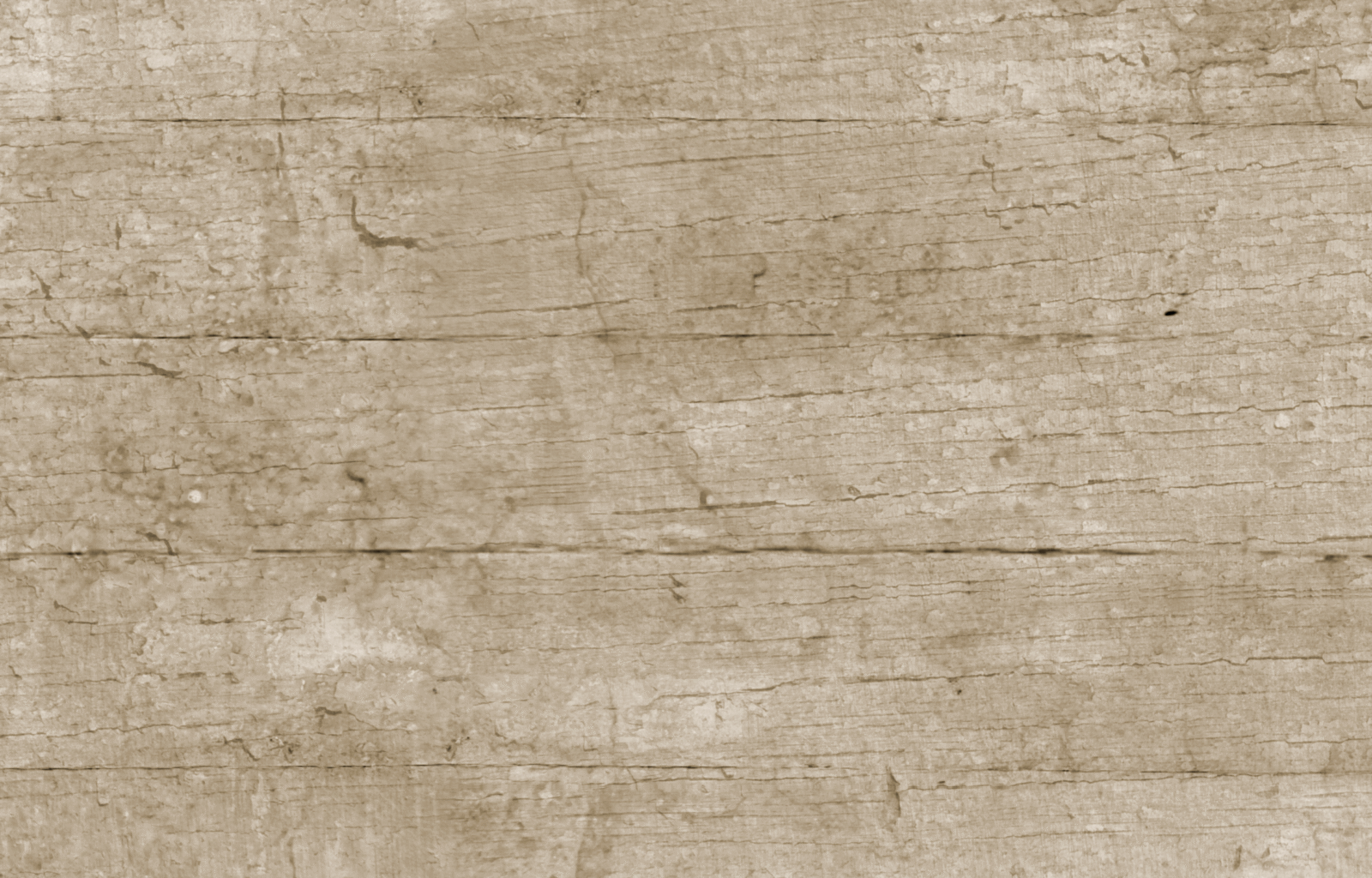 WOO0115 - Image 2