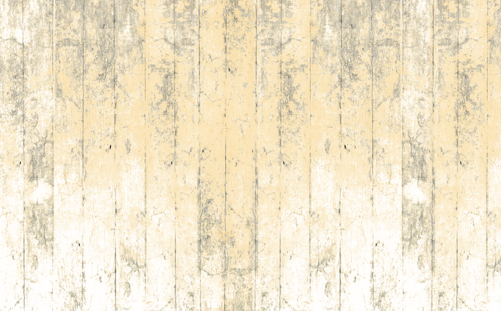 WOO0119 - Image 3