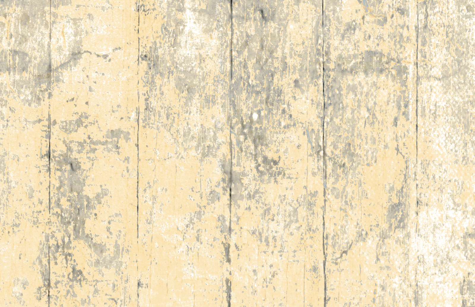 WOO0119 - Image 2