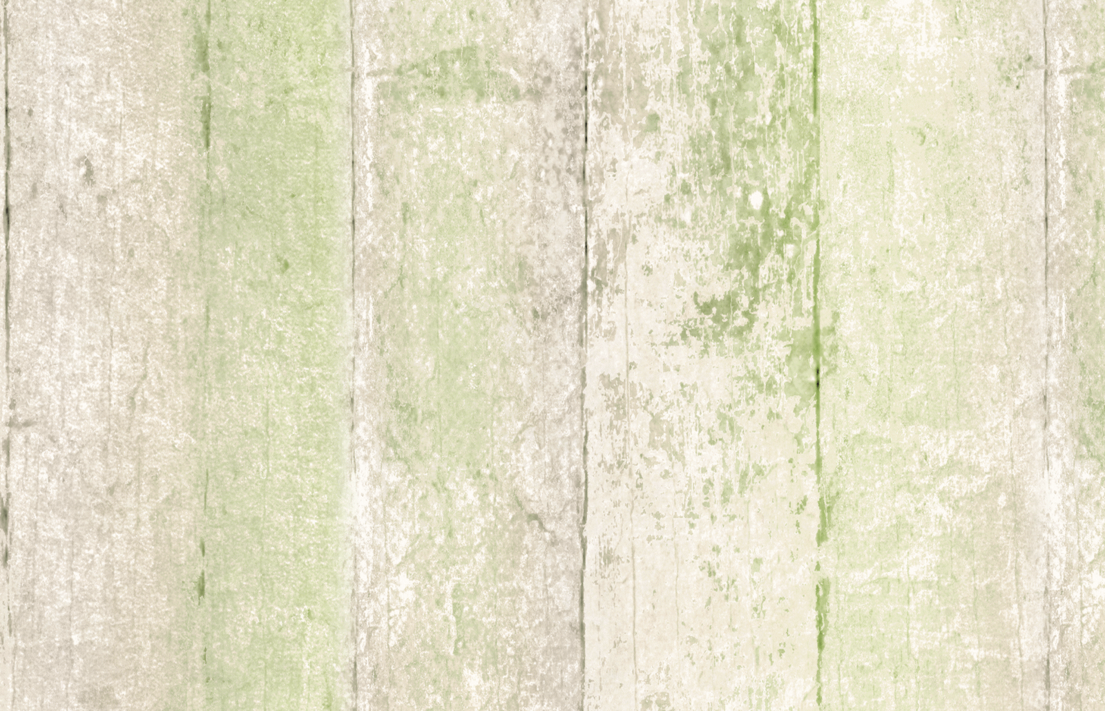WOO0213 - Image 2