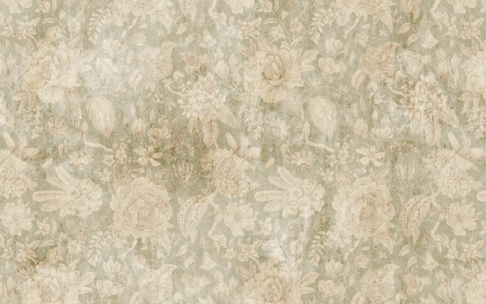 NAT0402B - Image 2