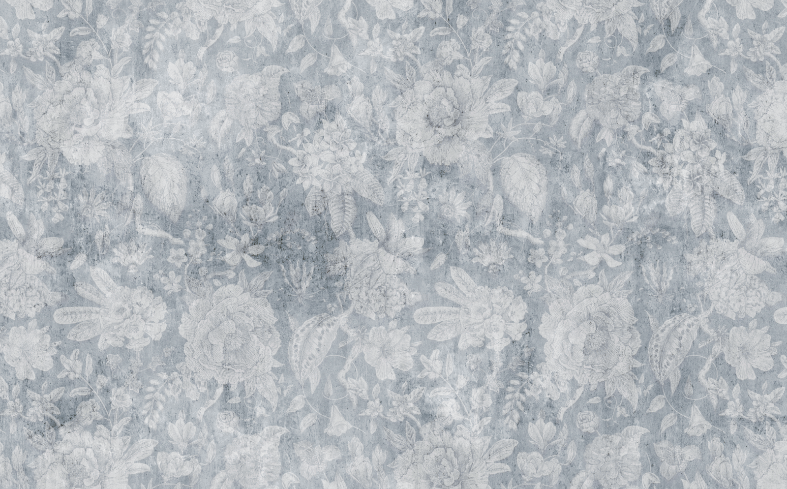 NAT0402C - Image 2