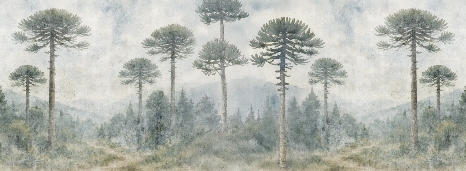 NAT01138 - Image 2