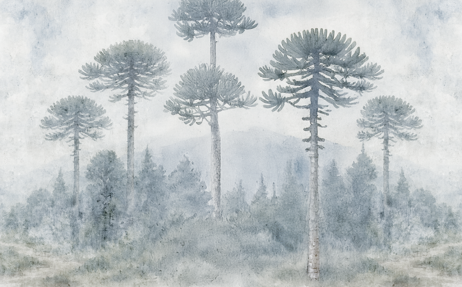 NAT01139 - Image 2