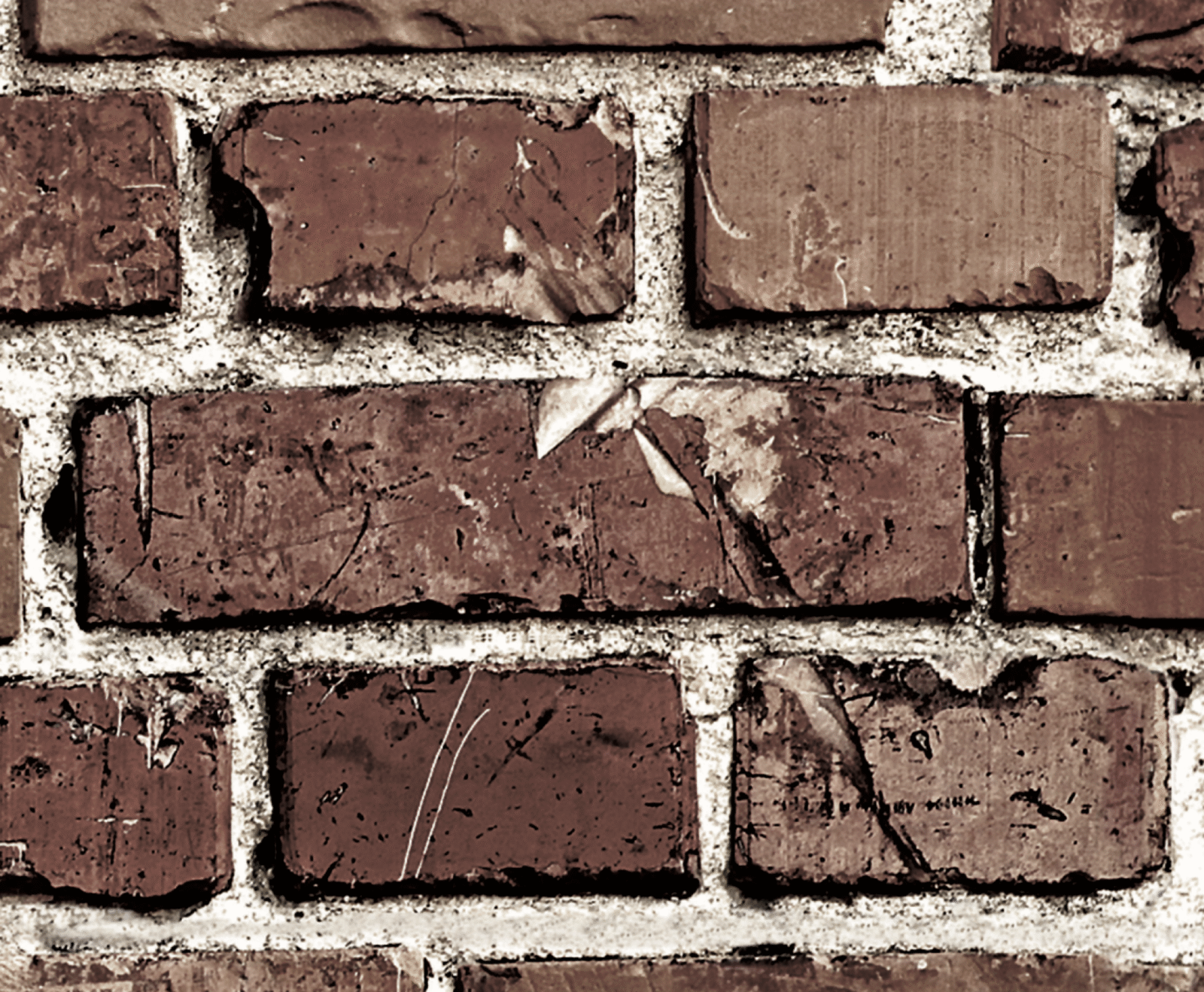 0_BRI0118B - Image 2