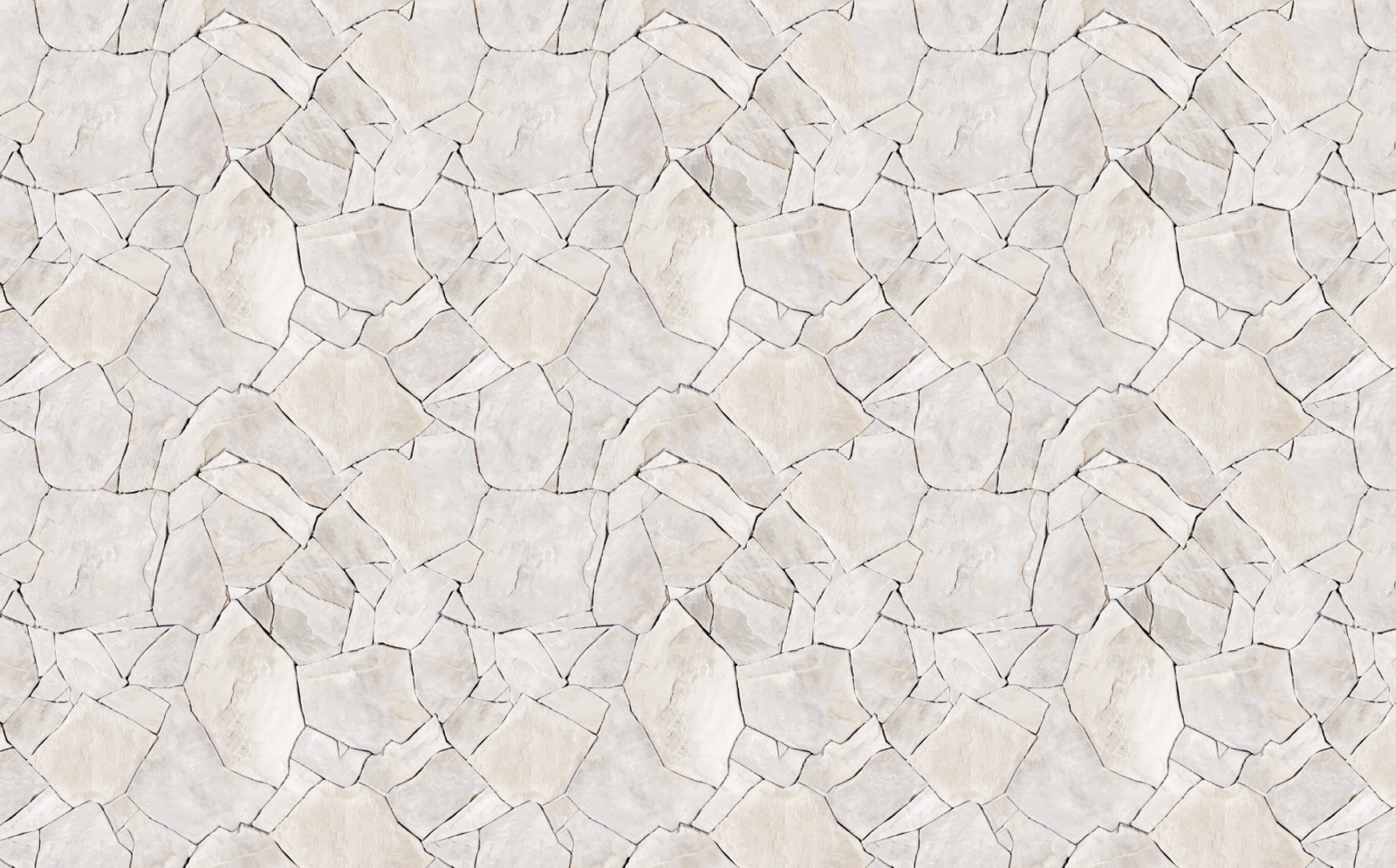 STN0204 - Image 2