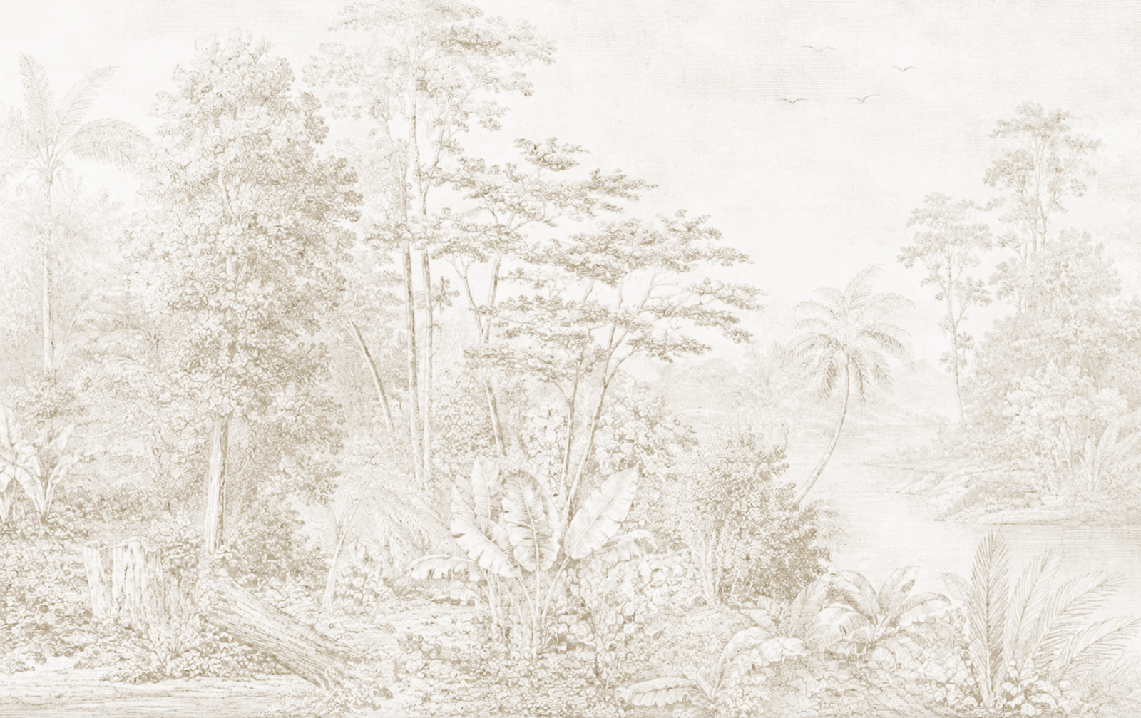 NAT01220 - Image 2