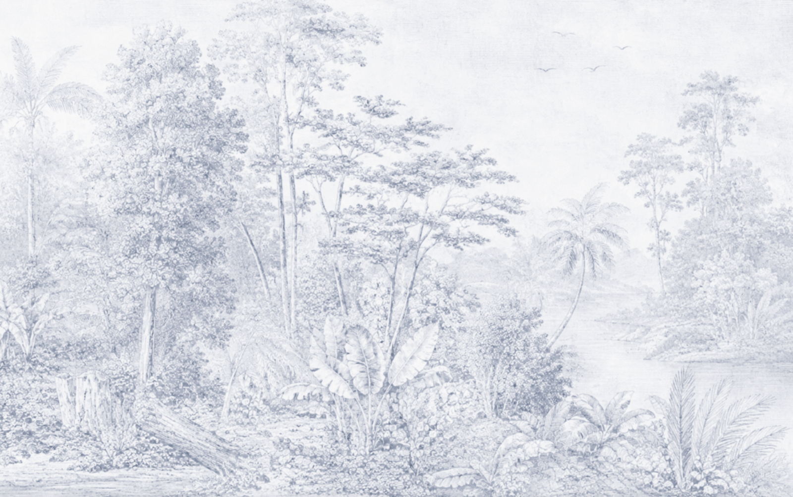 NAT01221 - Image 2