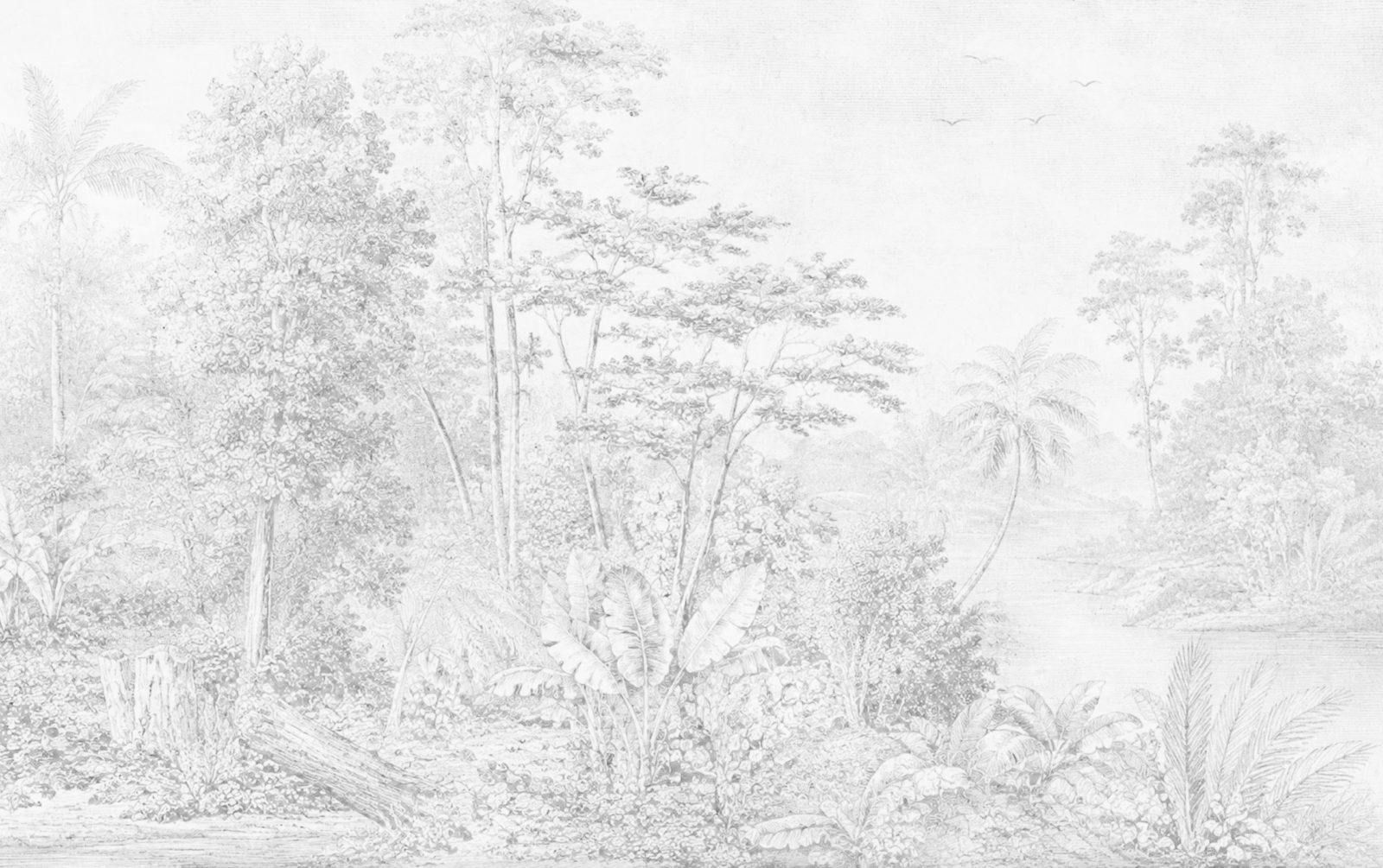 NAT01222 - Image 2