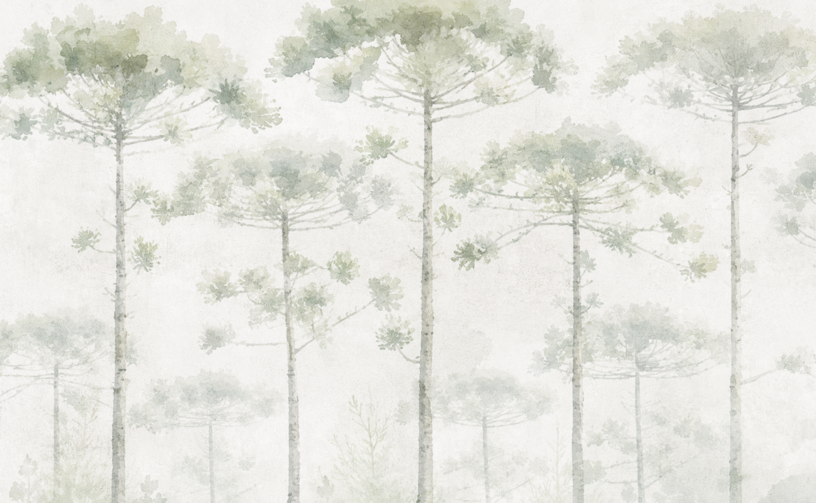 NAT01233 - Image 2